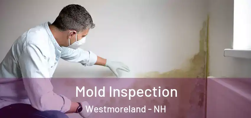 Mold Inspection Westmoreland - NH