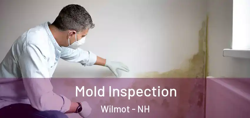Mold Inspection Wilmot - NH