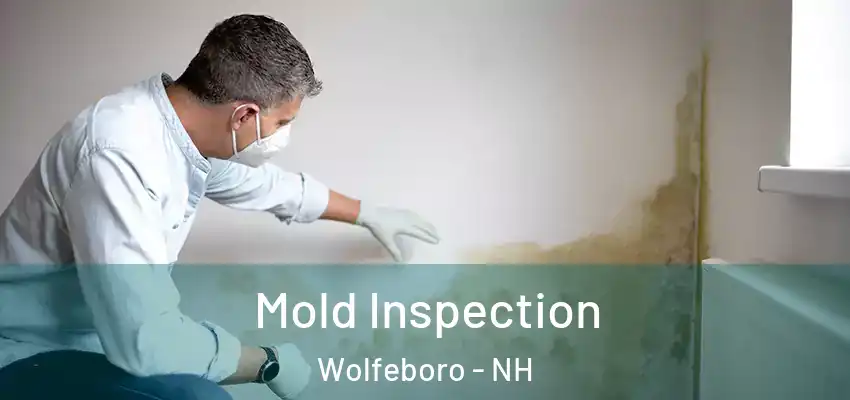 Mold Inspection Wolfeboro - NH