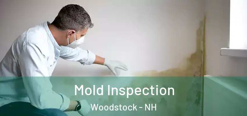 Mold Inspection Woodstock - NH