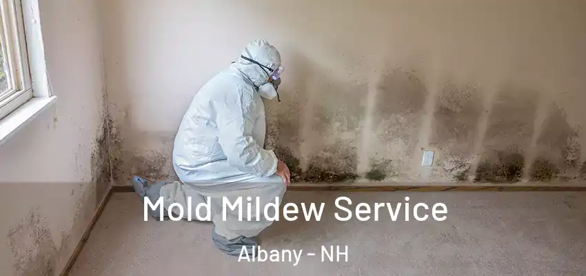 Mold Mildew Service Albany - NH