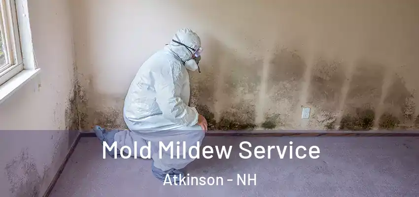  Mold Mildew Service Atkinson - NH