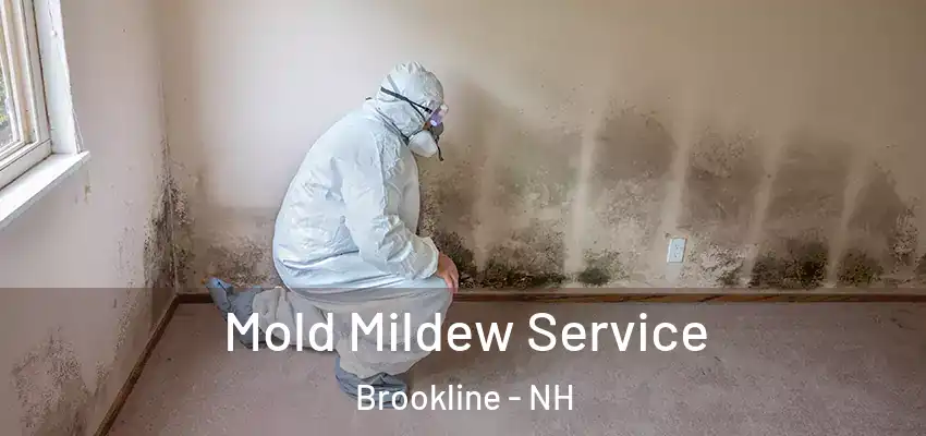  Mold Mildew Service Brookline - NH
