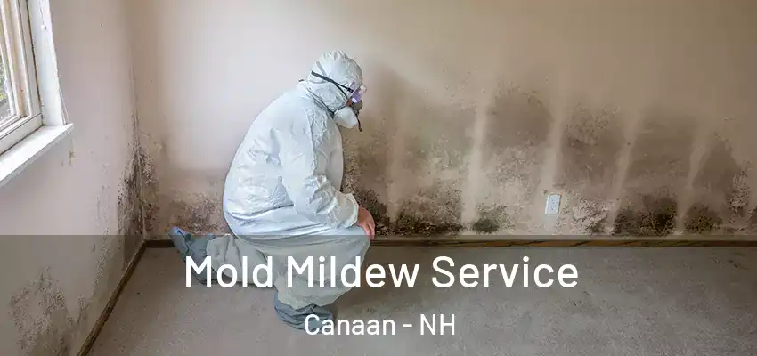Mold Mildew Service Canaan - NH