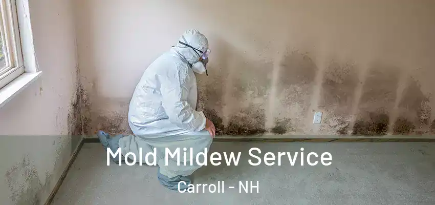  Mold Mildew Service Carroll - NH