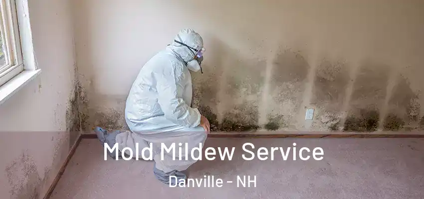 Mold Mildew Service Danville - NH