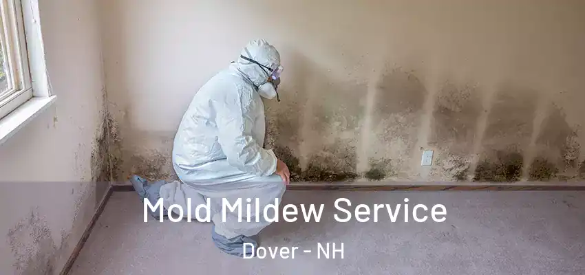  Mold Mildew Service Dover - NH