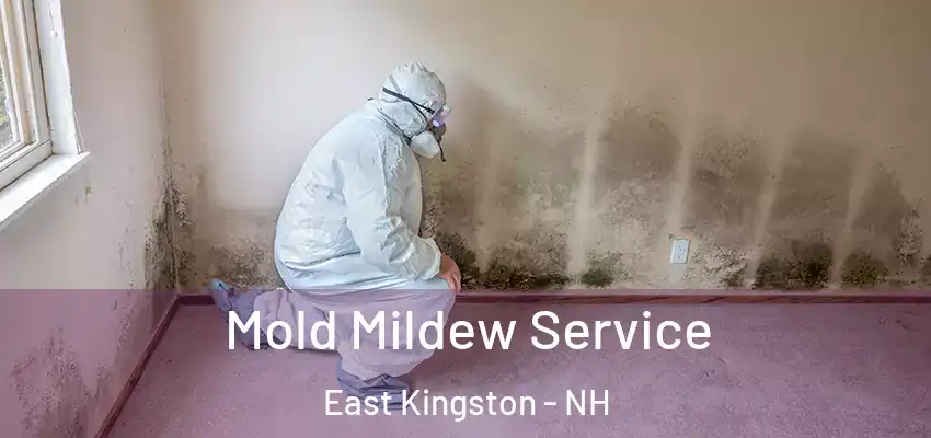  Mold Mildew Service East Kingston - NH