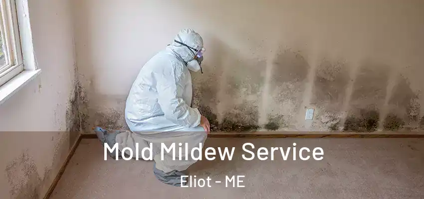  Mold Mildew Service Eliot - ME