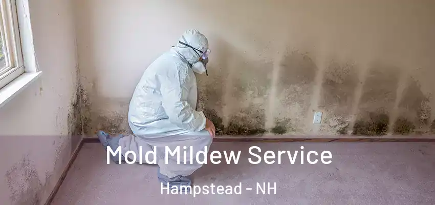  Mold Mildew Service Hampstead - NH