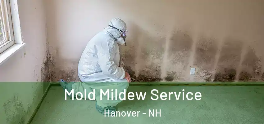 Mold Mildew Service Hanover - NH