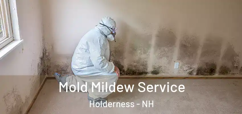 Mold Mildew Service Holderness - NH