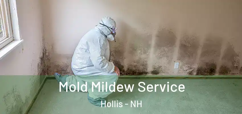  Mold Mildew Service Hollis - NH
