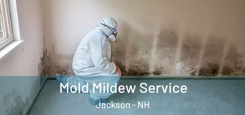 Mold Mildew Service Jackson - NH