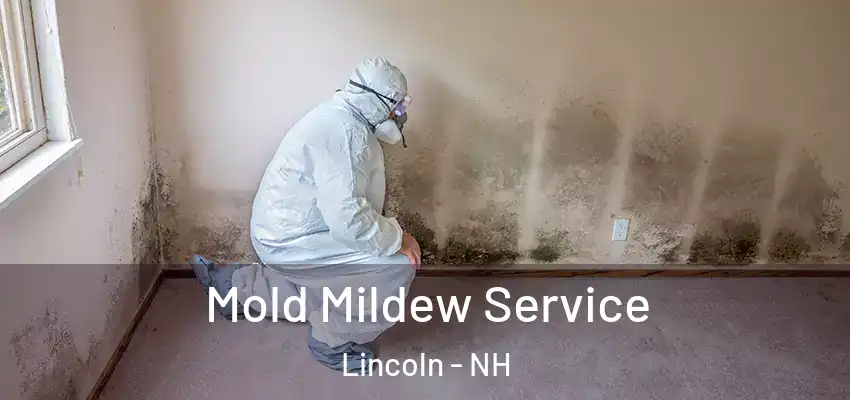 Mold Mildew Service Lincoln - NH