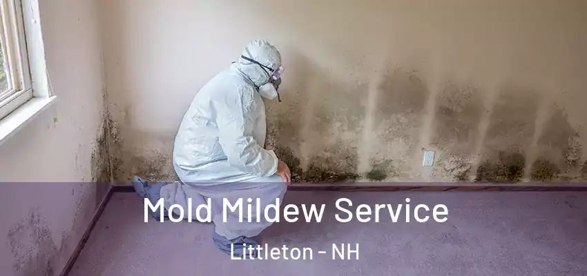 Mold Mildew Service Littleton - NH