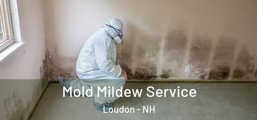  Mold Mildew Service Loudon - NH