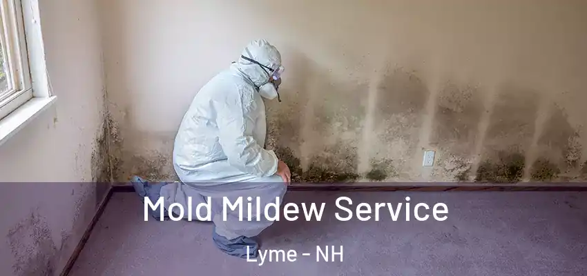  Mold Mildew Service Lyme - NH