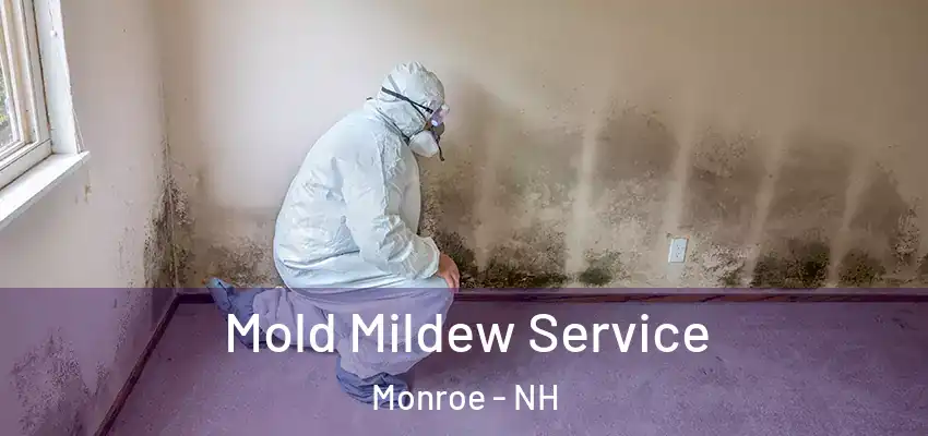  Mold Mildew Service Monroe - NH