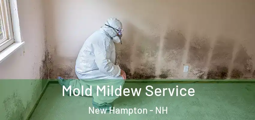 Mold Mildew Service New Hampton - NH