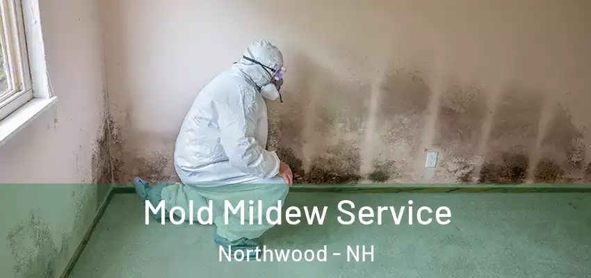  Mold Mildew Service Northwood - NH