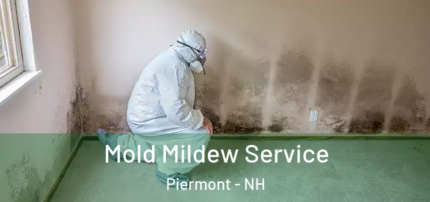  Mold Mildew Service Piermont - NH