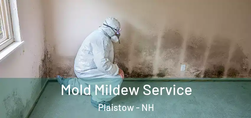  Mold Mildew Service Plaistow - NH