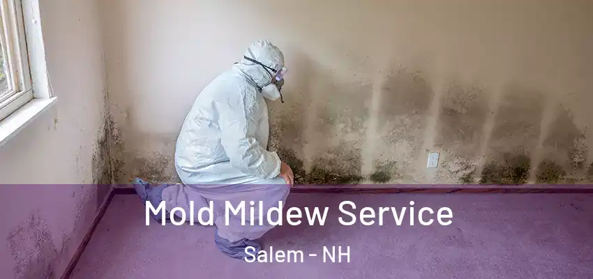  Mold Mildew Service Salem - NH