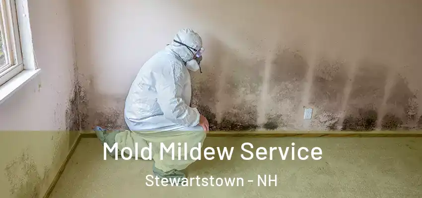 Mold Mildew Service Stewartstown - NH