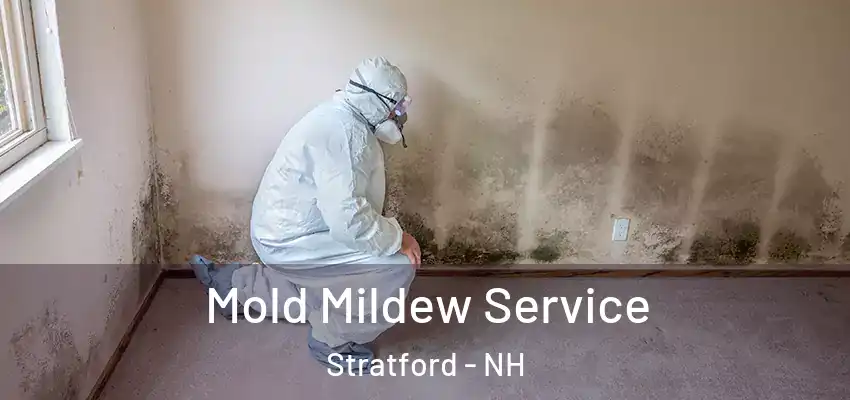 Mold Mildew Service Stratford - NH