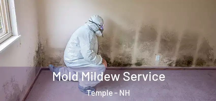  Mold Mildew Service Temple - NH