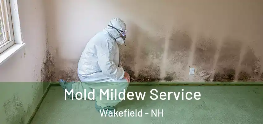  Mold Mildew Service Wakefield - NH