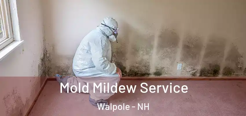  Mold Mildew Service Walpole - NH