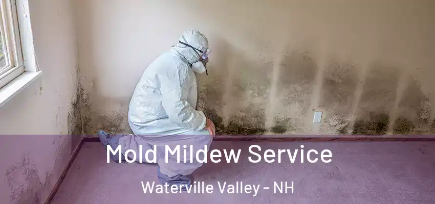  Mold Mildew Service Waterville Valley - NH