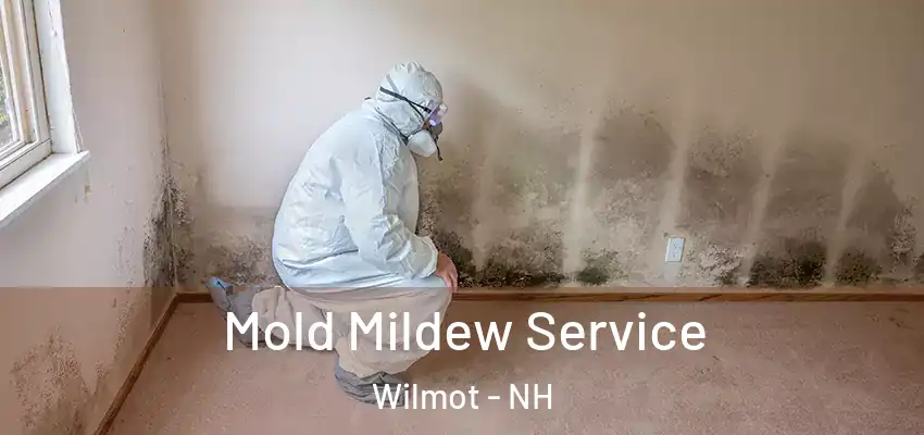  Mold Mildew Service Wilmot - NH