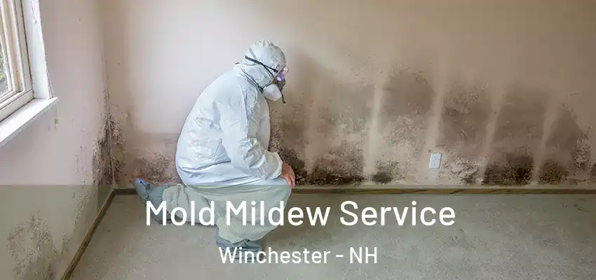  Mold Mildew Service Winchester - NH