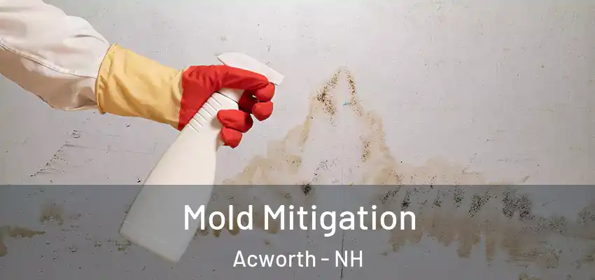 Mold Mitigation Acworth - NH
