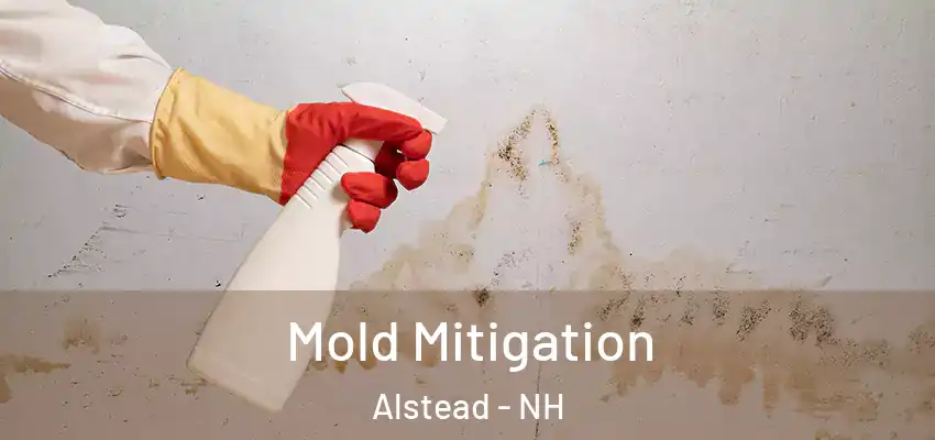  Mold Mitigation Alstead - NH