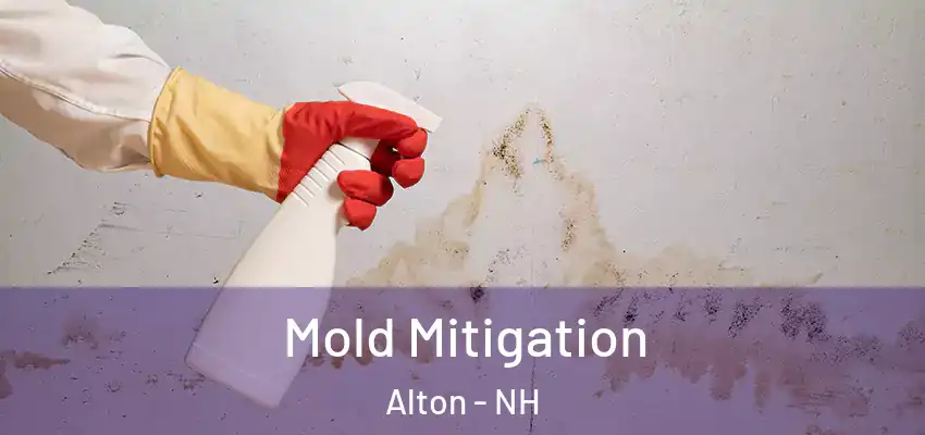  Mold Mitigation Alton - NH