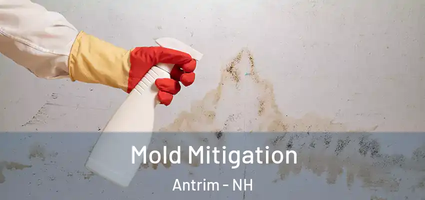  Mold Mitigation Antrim - NH