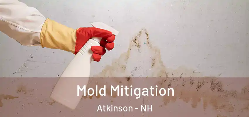  Mold Mitigation Atkinson - NH