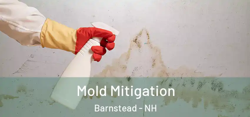  Mold Mitigation Barnstead - NH