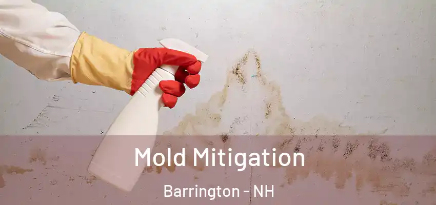  Mold Mitigation Barrington - NH