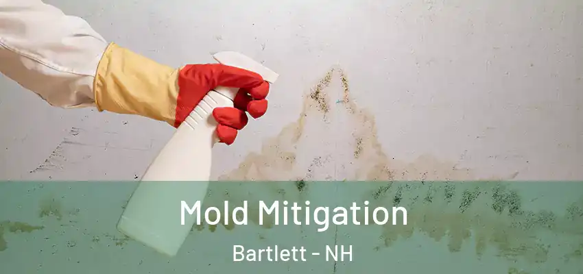 Mold Mitigation Bartlett - NH