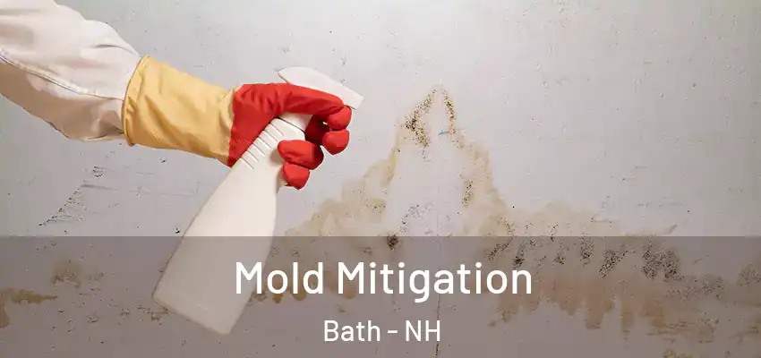  Mold Mitigation Bath - NH