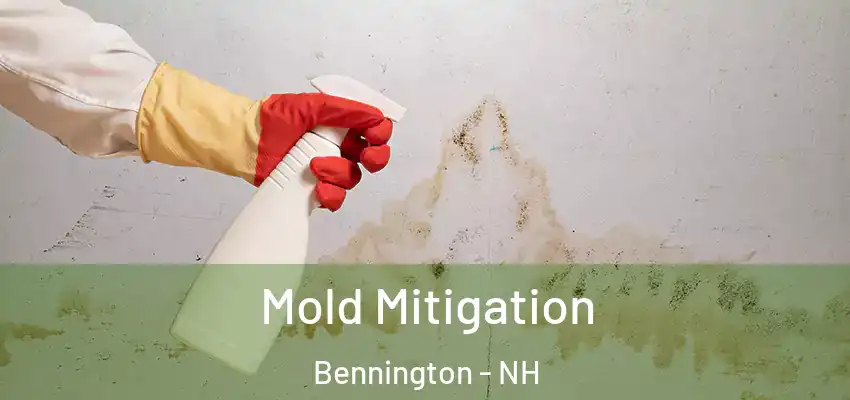  Mold Mitigation Bennington - NH