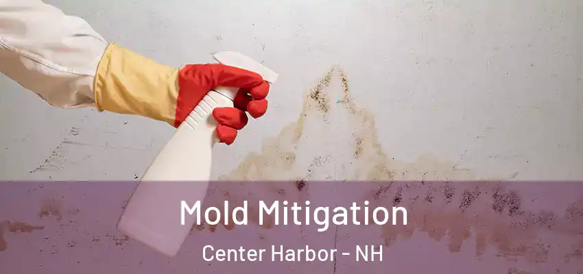 Mold Mitigation Center Harbor - NH