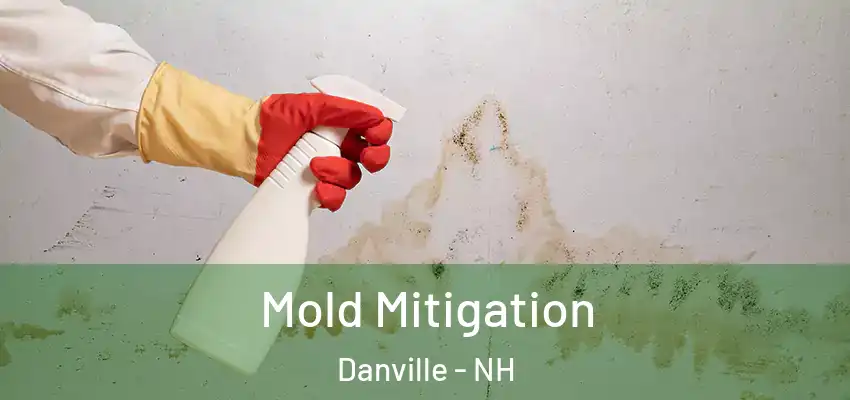  Mold Mitigation Danville - NH