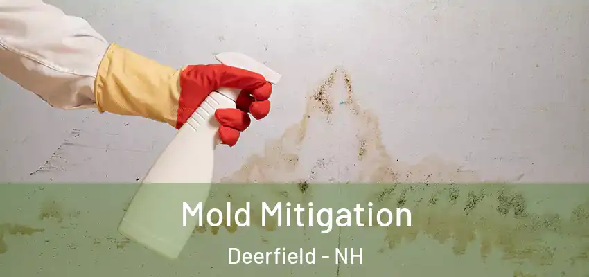  Mold Mitigation Deerfield - NH