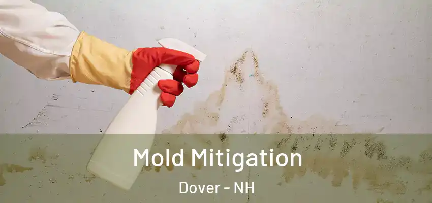  Mold Mitigation Dover - NH